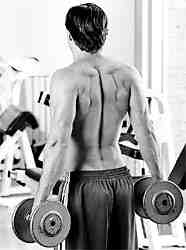 dumbbell shrug 2