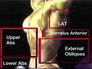 upper body side