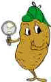 potato